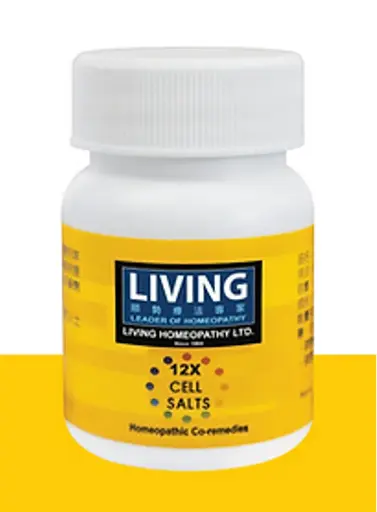 LIVING 12x